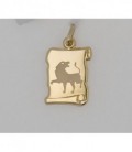 PLACA OR OROSCOPO